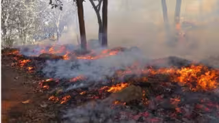 Retraso en calendario de quemas preocupa a campesinos de Hecelchakán