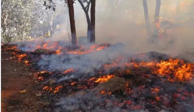 Protección Civil estatal bajo cuestionamientos por retrasos