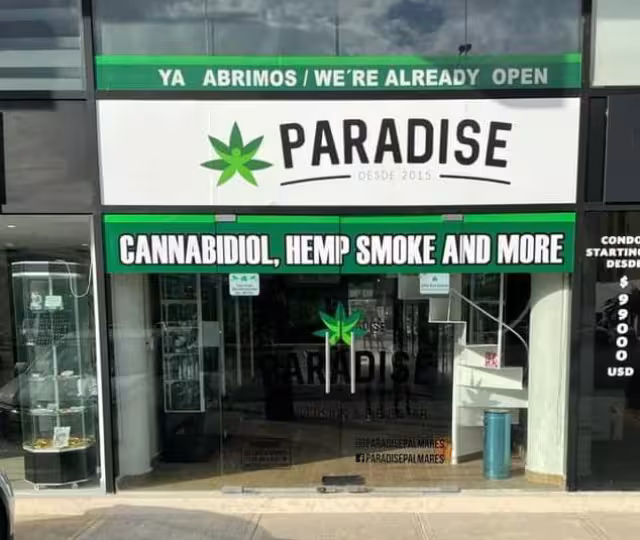 Inauguran Paradaise, la tienda que vende productos derivados de marihuana en Playa del Carmen