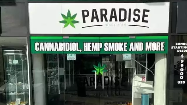 Inauguran Paradaise, la tienda que vende productos derivados de marihuana en Playa del Carmen