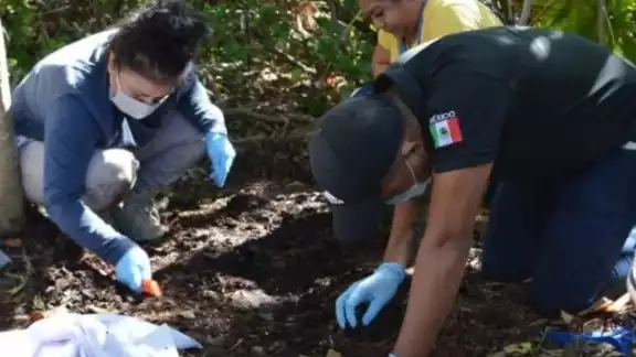 La Fiscalía General de Quintana Roo informó al Consejo Nacional de Búsqueda la identificación de dos cadáveres hallados en Bonfil La Fiscalía General de Quintana Roo informó al Consejo Nacional de Búsqueda la identificación de dos cadáveres hallados en Bonfil