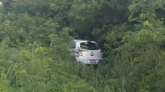 El auto terminó entre la maleza El auto terminó entre la maleza