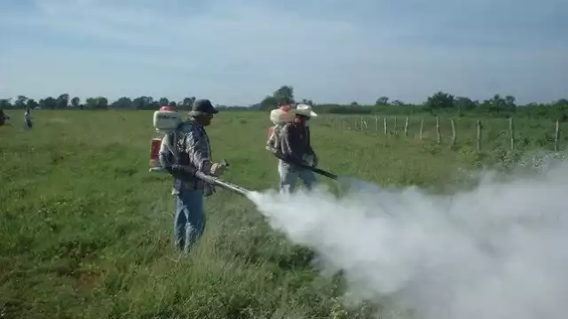 Un 15.2% de los territorios afectados en la nación se encuentran en la entidad, lo que genera problemas en la flora, fauna y sistemas hídricos de la zona