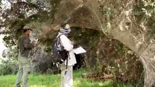 Los científicos invitaron a no tirar basura (no plásticos, ni vidrio) en el Boulevard Bahía