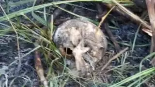 Foto: Julio Javier Mena