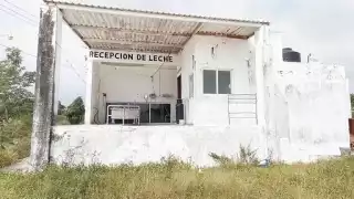 Las condiciones climáticas afectaron a los ganaderos de la región