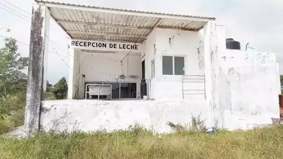 Las condiciones climáticas afectaron a los ganaderos de la región