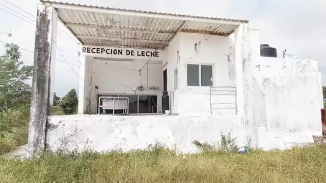 Las condiciones climáticas afectaron a los ganaderos de la región