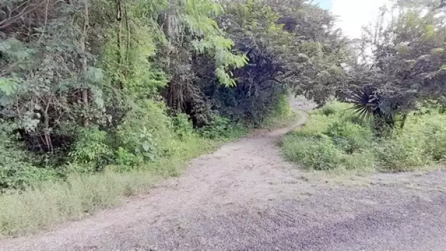 Hombres de campo han calificado el estado actual de la vereda
como intransitable.