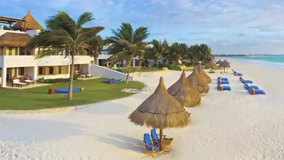 La construcción de la palapa en Playa del Carmen afectaría la anidación de tortugas La construcción de la palapa en Playa del Carmen afectaría la anidación de tortugas