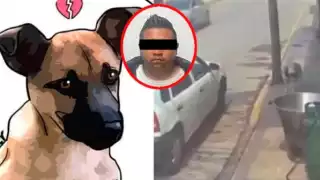 Scooby fue víctima de maltrato animal tras encontrar la muerte de la peor manera y en una lenta agonía