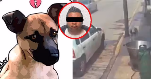 Scooby fue víctima de maltrato animal tras encontrar la muerte de la peor manera y en una lenta agonía