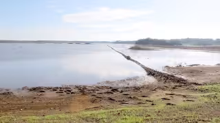 Yucatán alista su Programa Especial de Cambio Climático; será presentado el 20 de febrero