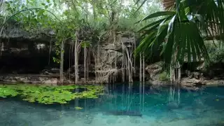 El Cenote X´batún es pesfecto para concer este fin de semana