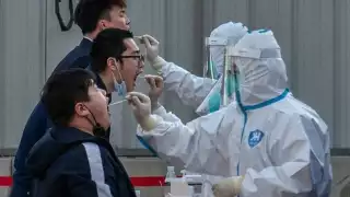 OMS advierte sobre el aumento de casos en los últimos días. Foto: OMS