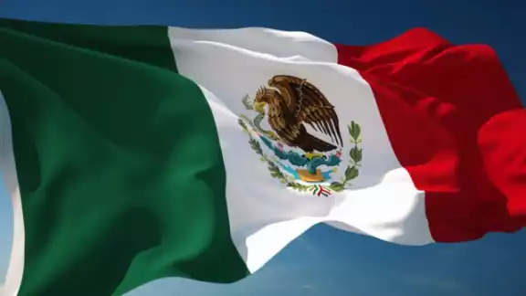 Dos párrafos fueron eliminados por Juan Nepomuceno Álvarez, presidente de México en 1855 Dos párrafos fueron eliminados por Juan Nepomuceno Álvarez, presidente de México en 1855