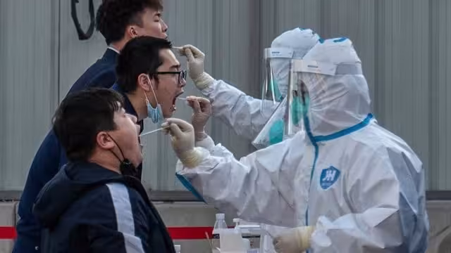 OMS advierte sobre el aumento de casos en los últimos días. Foto: OMS