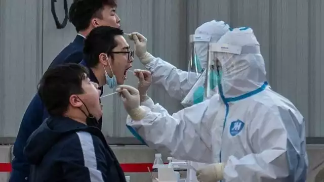 OMS advierte sobre el aumento de casos en los últimos días. Foto: OMS