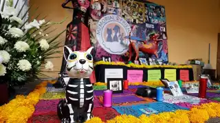 Por tradición del Día de Muertos, también existen ofrendas para las mascotas