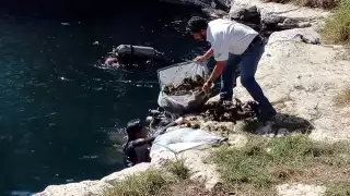 En la región, son pocas las instituciones de gobierno que han apostado por la implementación de energías limpias, como el uso de los paneles solares