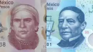 El Banco de México (Banxico) informó que próximamente estarán en circulación dos nuevos billetes, uno de 20 pesos y otro de 50 pesos.
