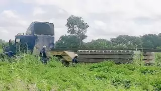 Foto: Néstor Cuevas