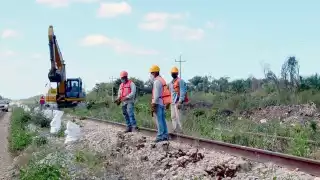 Los trabajos del Tramo 2 de Escárcega-Calkiní continúan con despalme, desmontaje de vías y elaboración de durmientes