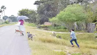 Gilberto Martínez Izquierdo tiene esperanzas de que el proceso en el Tribunal Agrario se resuelva a favor de las 12 familias que quedan
