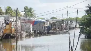 Crecimiento poblacional acaba con área natural en Ciudad del Carmen