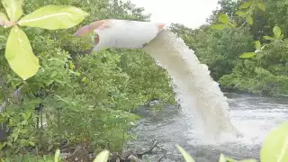 Foto: Fernando Kantún