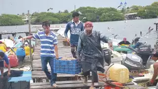 Hace 20 años había unas 250 lanchas aproximadamente, hoy el número se ha triplicado. Foto: Fernando Kantún