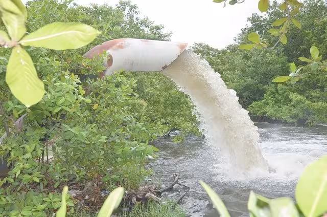 Foto: Fernando Kantún