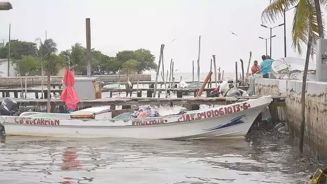 Buscan formar el Comité Municipal de Pescadores Ribereños Organizados, para regular las embarcaciones en Ciudad del Carmen