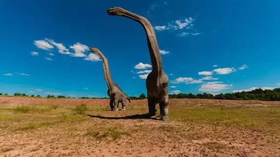 El 'Perijasaurus Lapaz' presenta ciertas características peculiares en su espina dorsal, lo que hizo que se le considerara el segundo dinosaurio de Colombia El 'Perijasaurus Lapaz' presenta ciertas características peculiares en su espina dorsal, lo que hizo que se le considerara el segundo dinosaurio de Colombia