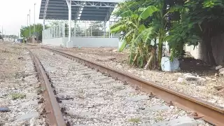 Los autores del documento muestran preocupación por el rol que
desempeñarían las comunidades indígenas en el proyecto.