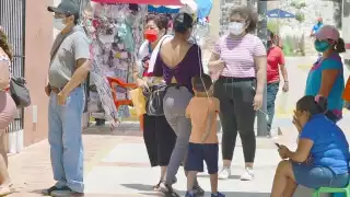 La prueba ELISA detecta los anticuerpos producidos por el sistema inmune