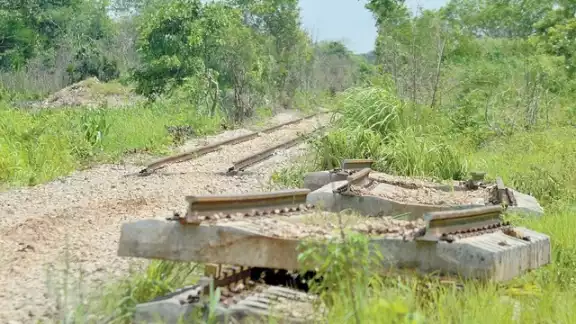 El Tren Maya no solo es un proyecto, es una realidad, aseguran. Foto: Archivo El Tren Maya no solo es un proyecto, es una realidad, aseguran. Foto: Archivo