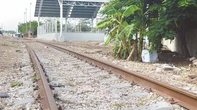 Los autores del documento muestran preocupación por el rol que
desempeñarían las comunidades indígenas en el proyecto.