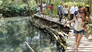 Guiado por lugareños, el visitante puede admirar a pie o en lancha este ecosistema.