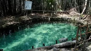 El Corchito, la reserva ecológica que se formó tras el Huracán Gilberto