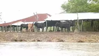 Foto: Julio Gutiérrez