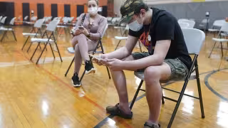 La nueva variante fue denominada BV-1.