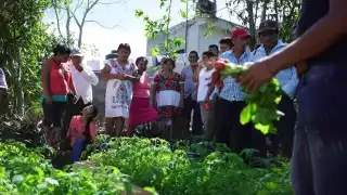 Los grupos indígenas han mostrado su inconformidad con la construcción del Tren Maya