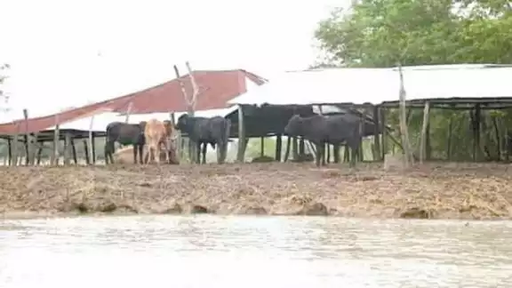 Foto: Julio Gutiérrez