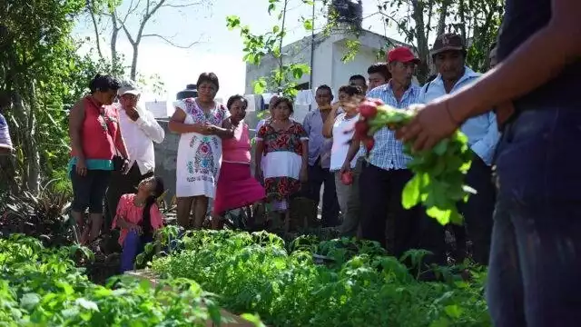 Los grupos indígenas han mostrado su inconformidad con la construcción del Tren Maya