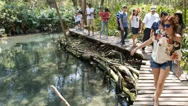 Guiado por lugareños, el visitante puede admirar a pie o en lancha este ecosistema.