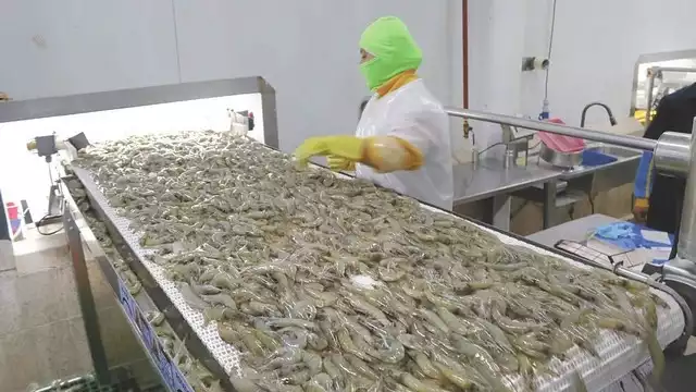 Foto: Fernando Kantún