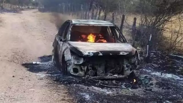 Narcofosas, enfrentamientos y ejecuciones se han registrado en campeche en las últimas horas