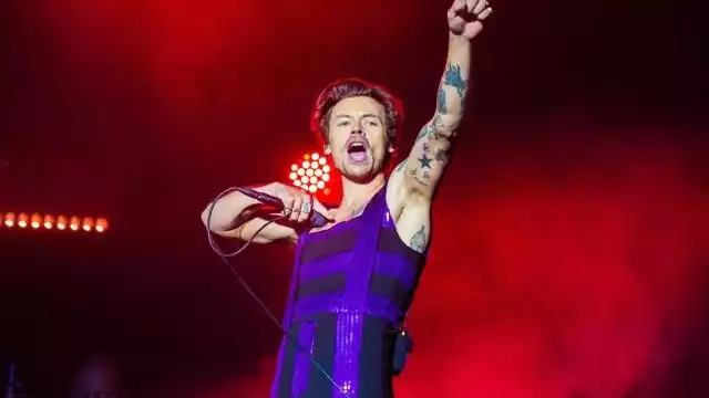 Harry Styles ha sufrido de golpes por objetos que las fans lanzan al escenario