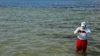 El Colegio de la Frontera Sur anunció que Campeche sería la cuarta entidad del Sureste que explora la existencia del genoma del coronavirus causante del COVID-19